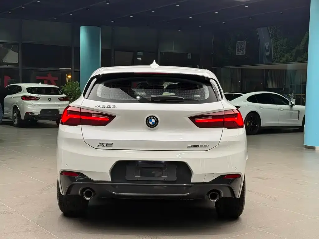 BMW X2 2023 из CN, фото 7
