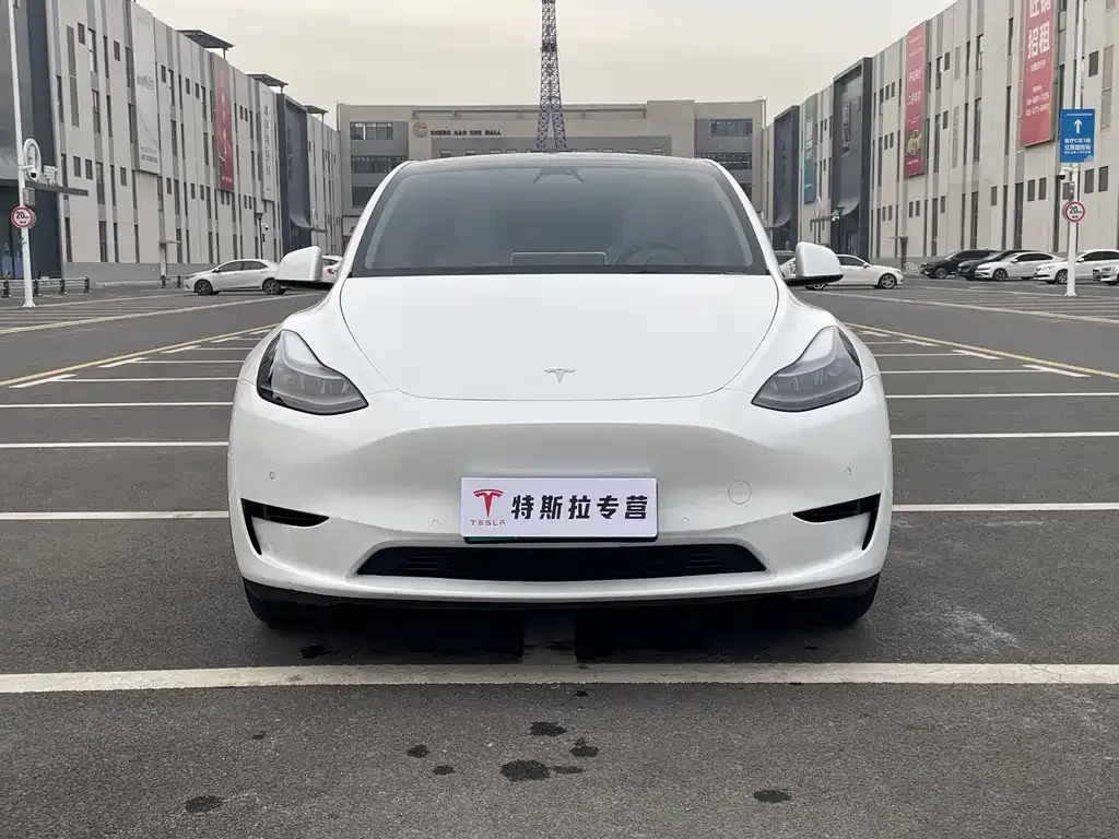 Tesla Model Y 2024 из CN, фото 4