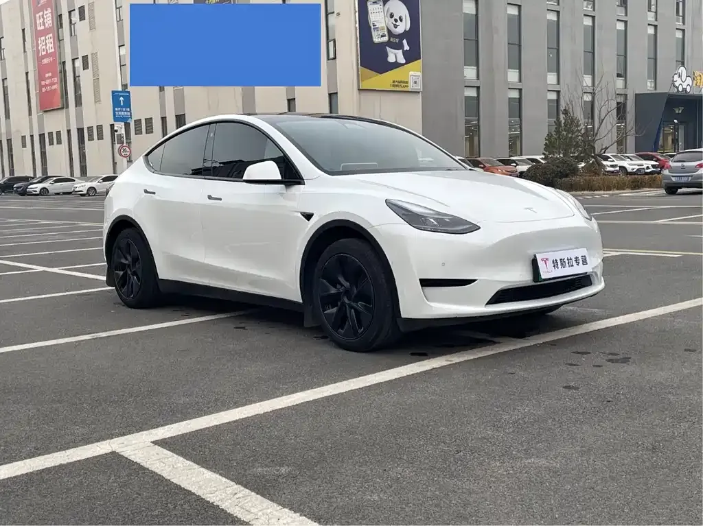 Tesla Model Y 2024 из CN, фото 7