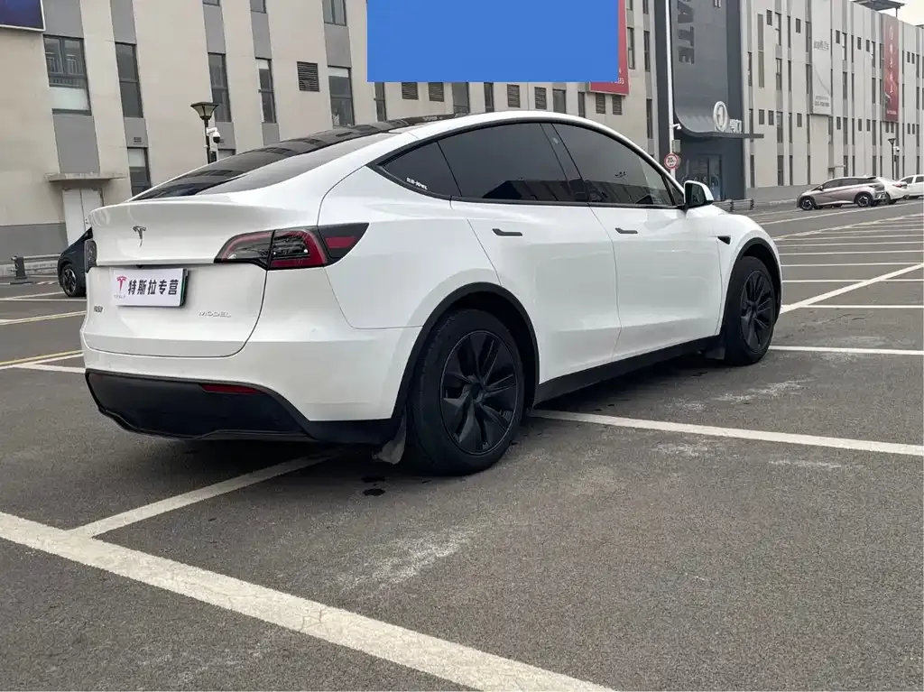 Tesla Model Y 2024 из CN, фото 5