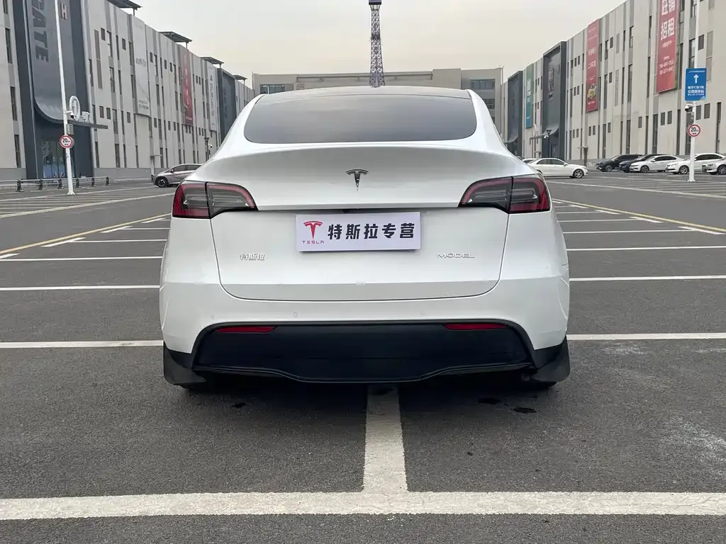 Tesla Model Y 2024 из CN, фото 9