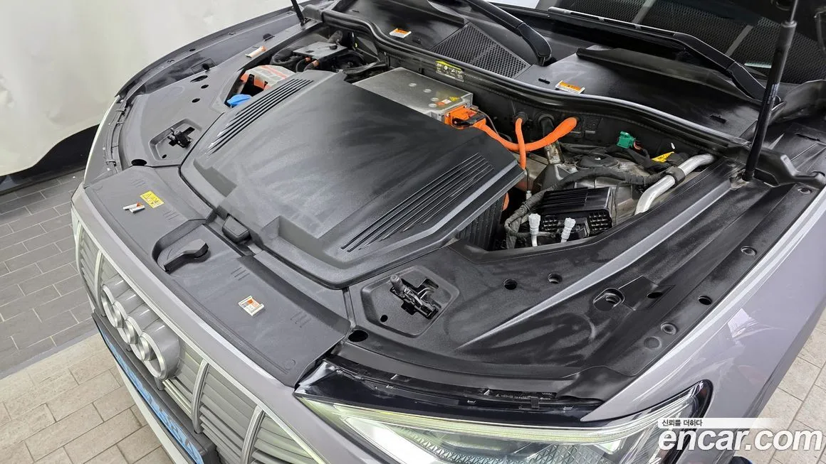 Audi e-tron 2021 из KR, фото 9