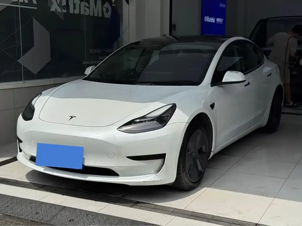 Tesla Model 3 2021 из CN, фото 1