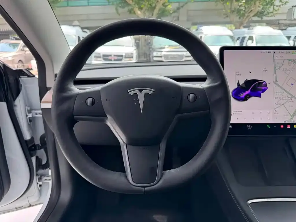 Tesla Model 3 2021 из CN, фото 2