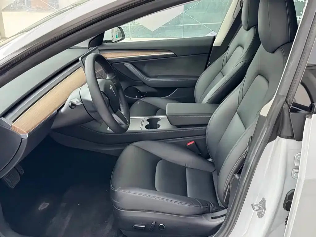 Tesla Model 3 2021 из CN, фото 10
