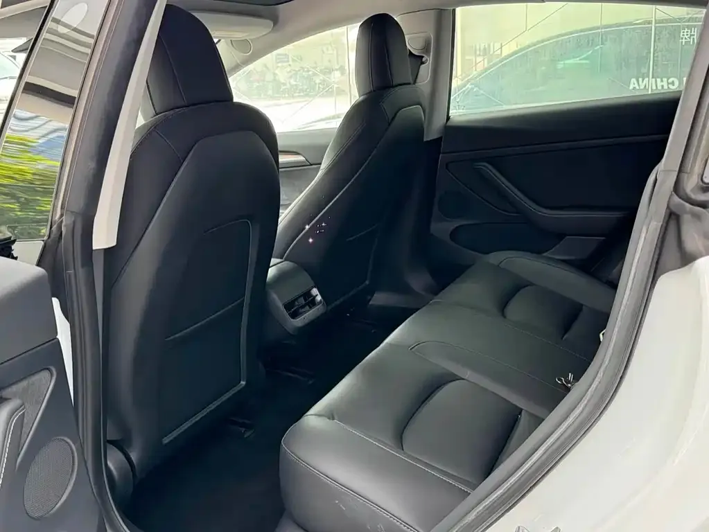Tesla Model 3 2021 из CN, фото 4