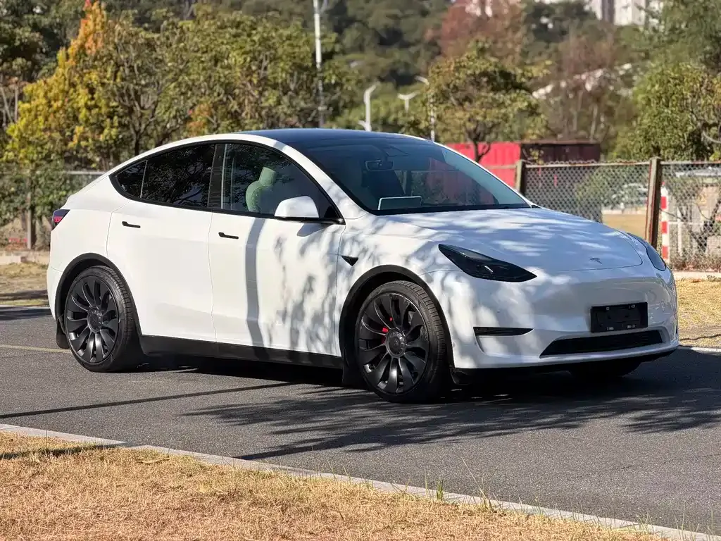 Tesla Model Y 2022 из CN, фото 9