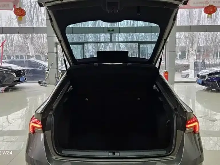 Skoda Octavia 2023 из CN, фото 5