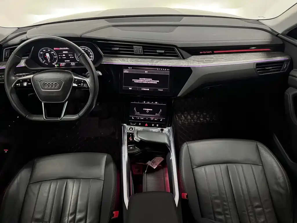 Audi e-tron (Import) 2023 из CN, фото 6