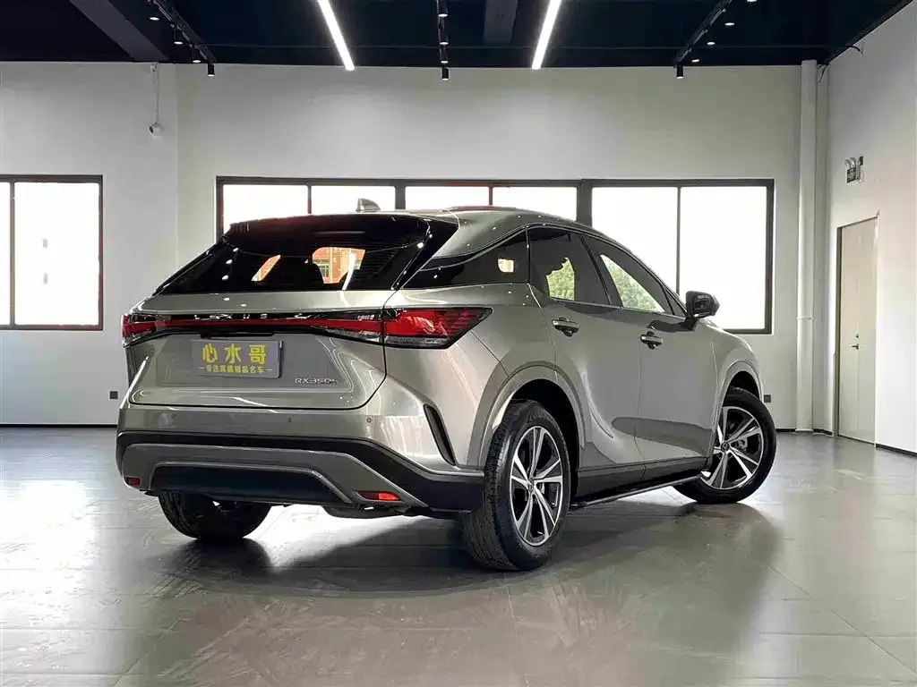 Lexus RX 2023 из CN, фото 3