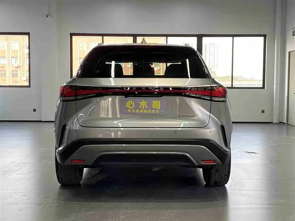 Lexus RX 2023 из CN, фото 2