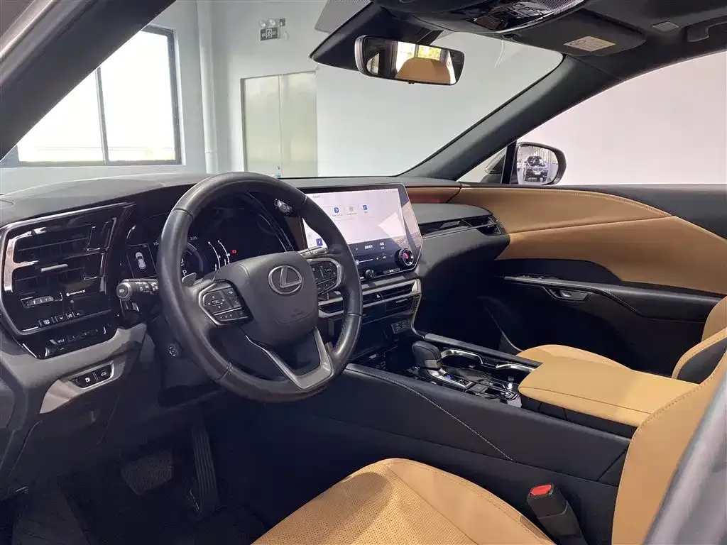 Lexus RX 2023 из CN, фото 8