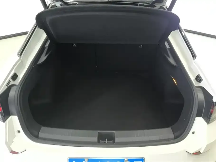 Volkswagen Lamando 2023 из CN, фото 2