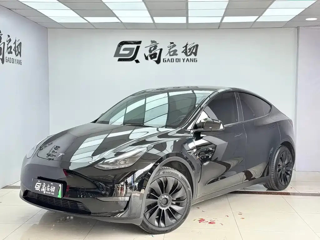Tesla Model Y 2021 из CN, фото 1