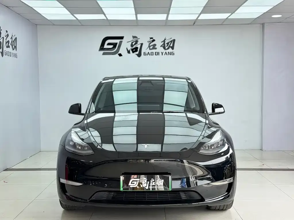 Tesla Model Y 2021 из CN, фото 2