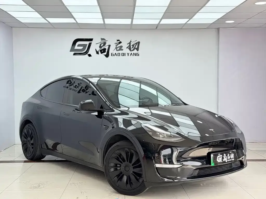 Tesla Model Y 2021 из CN, фото 6