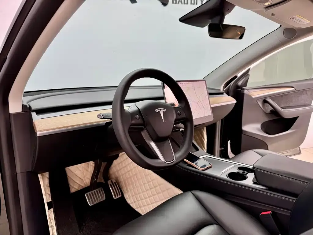 Tesla Model Y 2021 из CN, фото 7