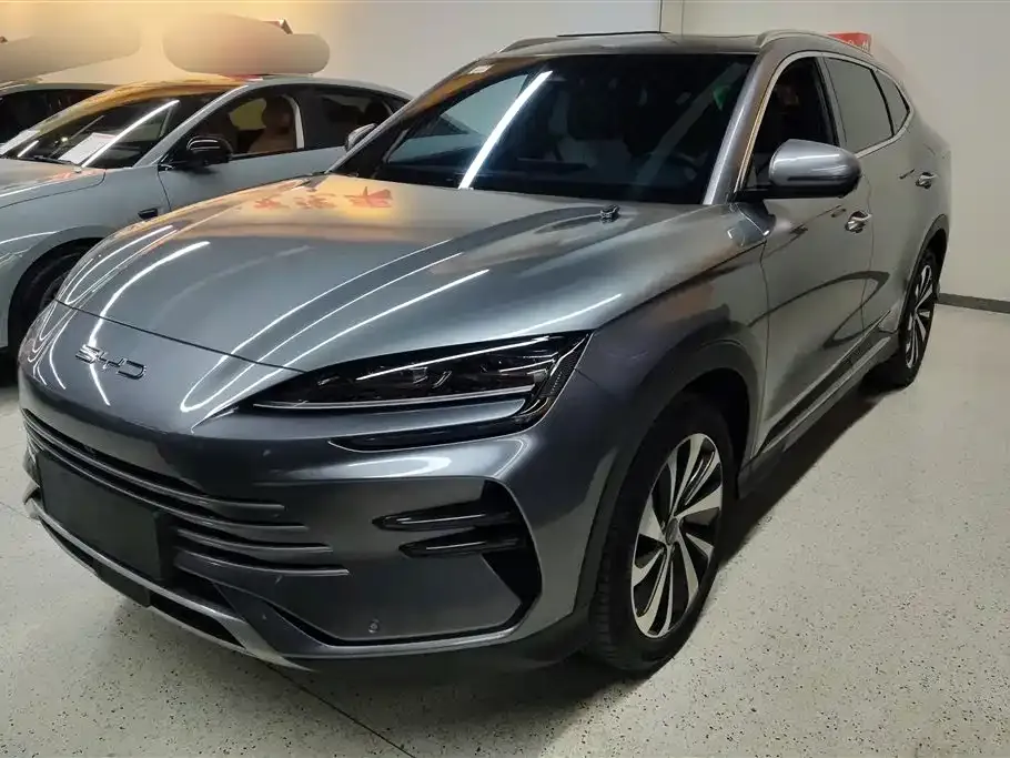 BYD PLUS New Energy 2023 из CN, фото 1