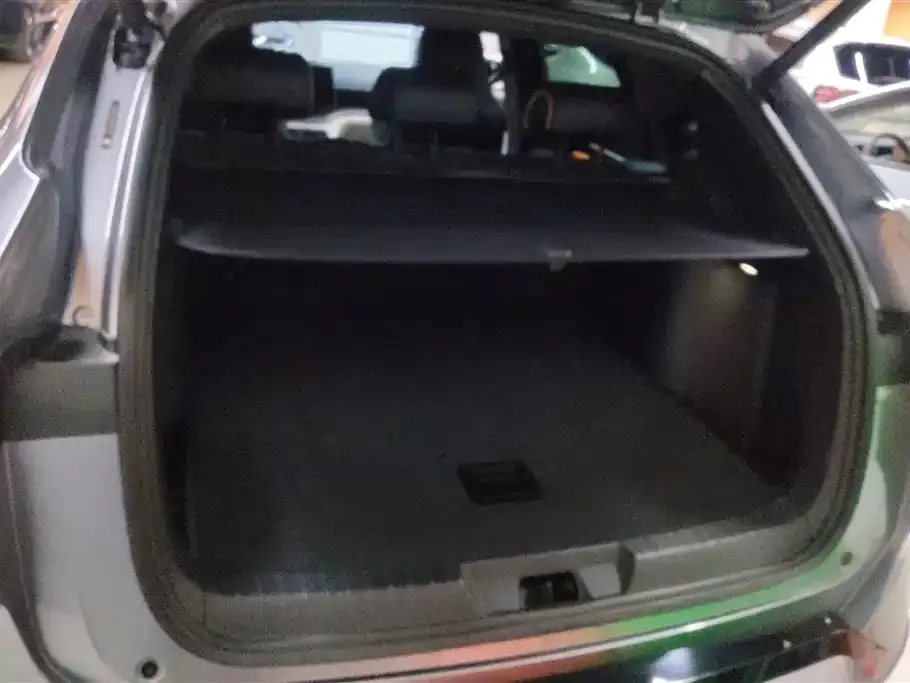 BYD PLUS New Energy 2023 из CN, фото 2