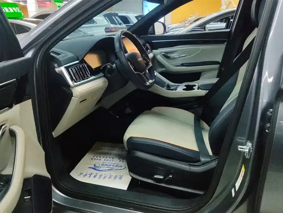 BYD PLUS New Energy 2023 из CN, фото 9