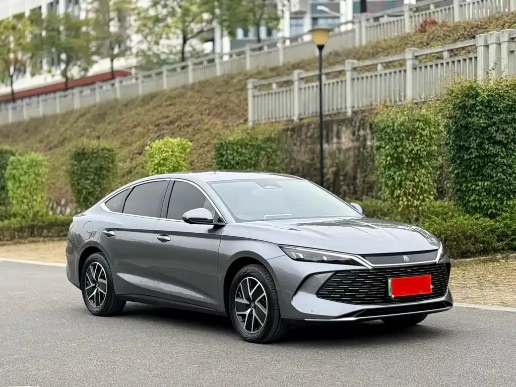 BYD Qin L 2024 из CN, фото 6