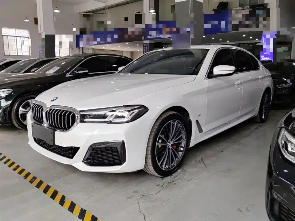BMW 5 Series 2023 из CN, фото 6