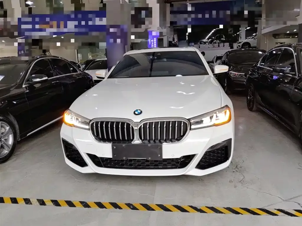 BMW 5 Series 2023 из CN, фото 2