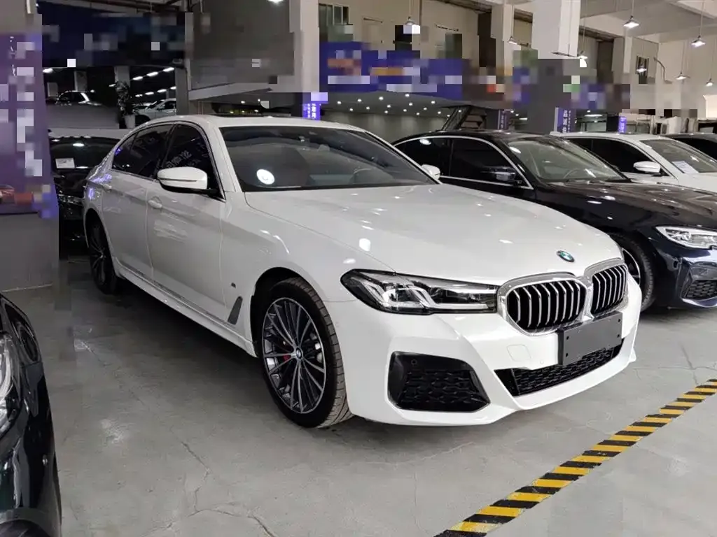 BMW 5 Series 2023 из CN, фото 3