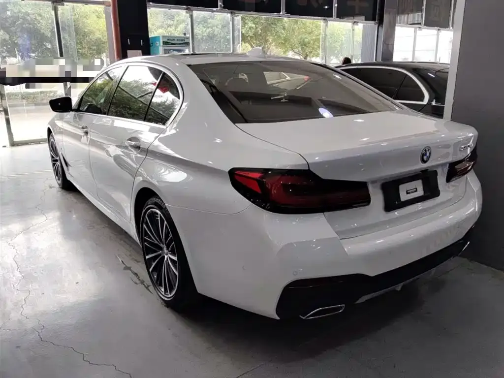 BMW 5 Series 2023 из CN, фото 4