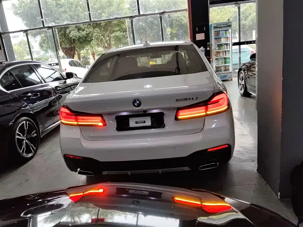 BMW 5 Series 2023 из CN, фото 8
