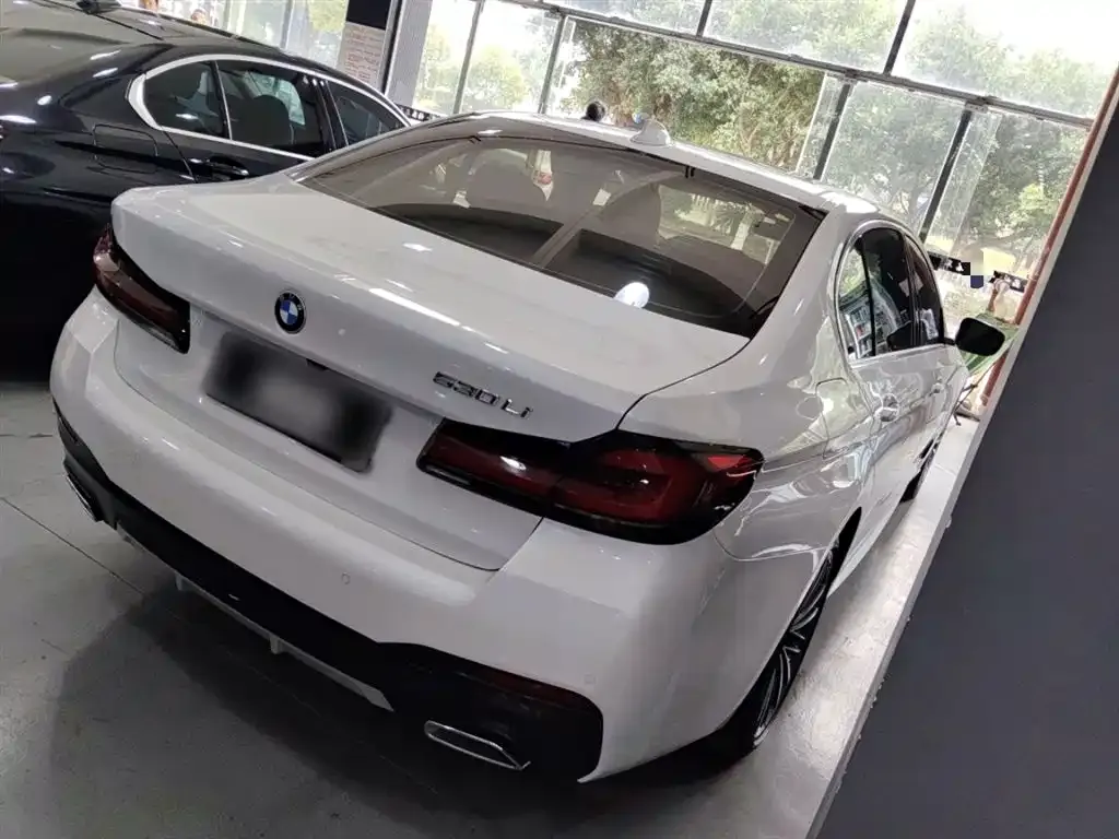 BMW 5 Series 2023 из CN, фото 10