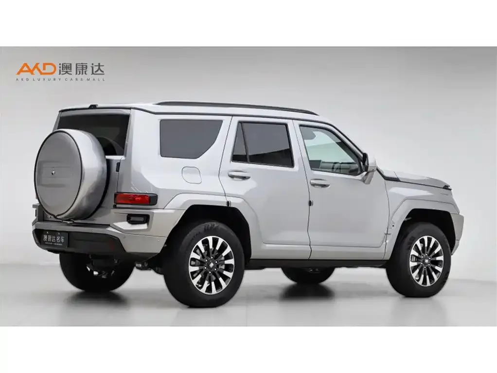 Tank 700 New Energy 2024 из CN, фото 9