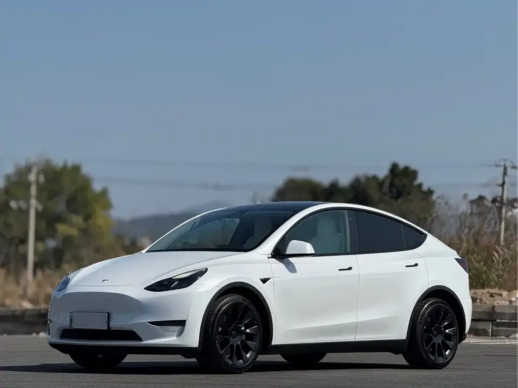 Tesla Model Y 2021 из CN, фото 1