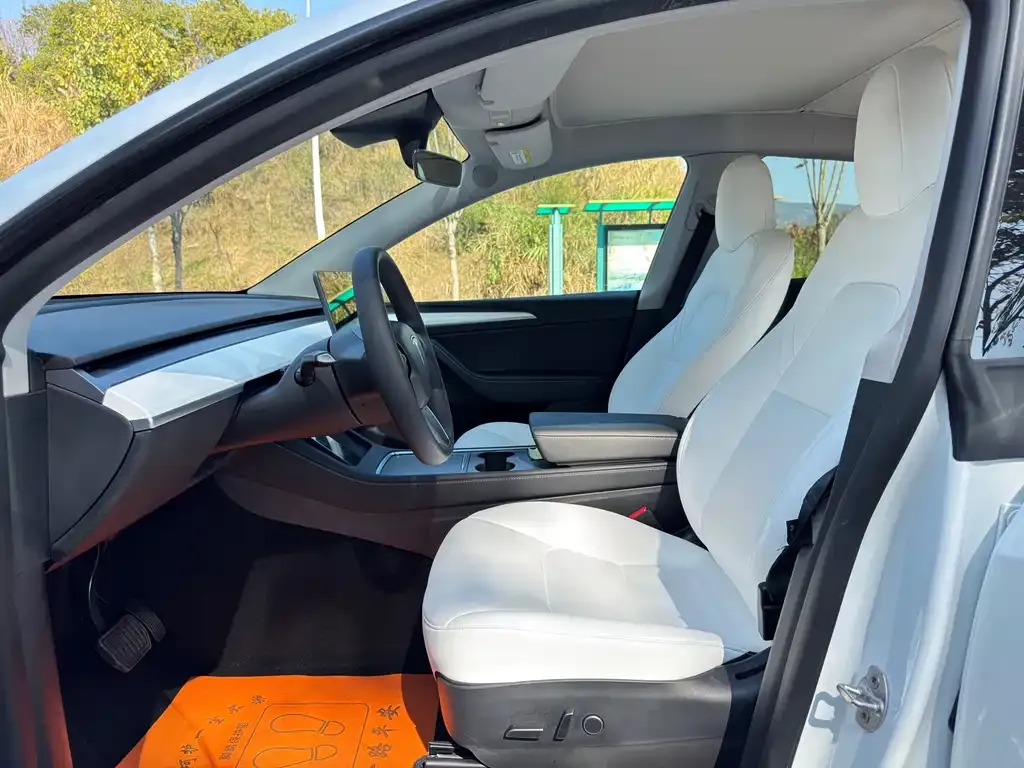 Tesla Model Y 2021 из CN, фото 4