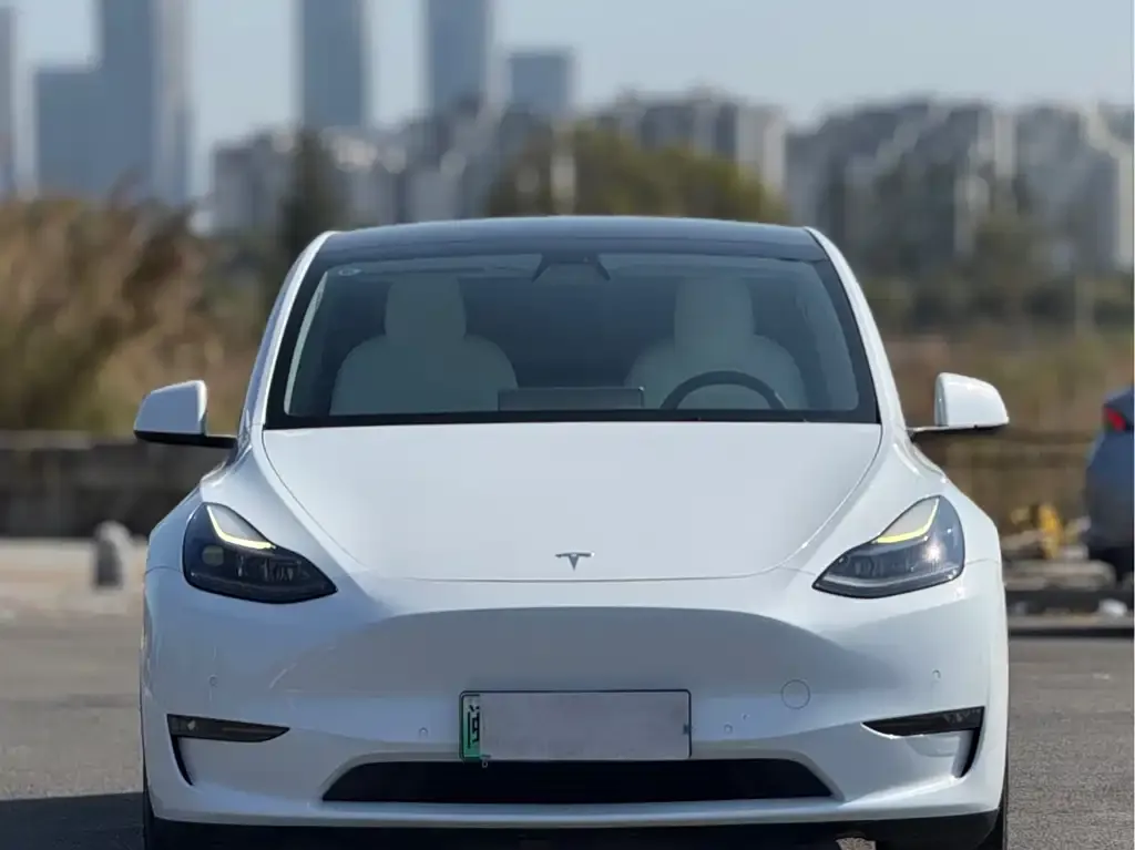 Tesla Model Y 2021 из CN, фото 7