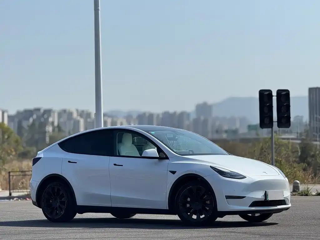Tesla Model Y 2021 из CN, фото 8