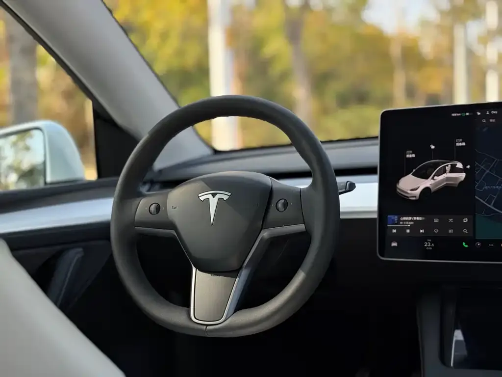 Tesla Model Y 2021 из CN, фото 2