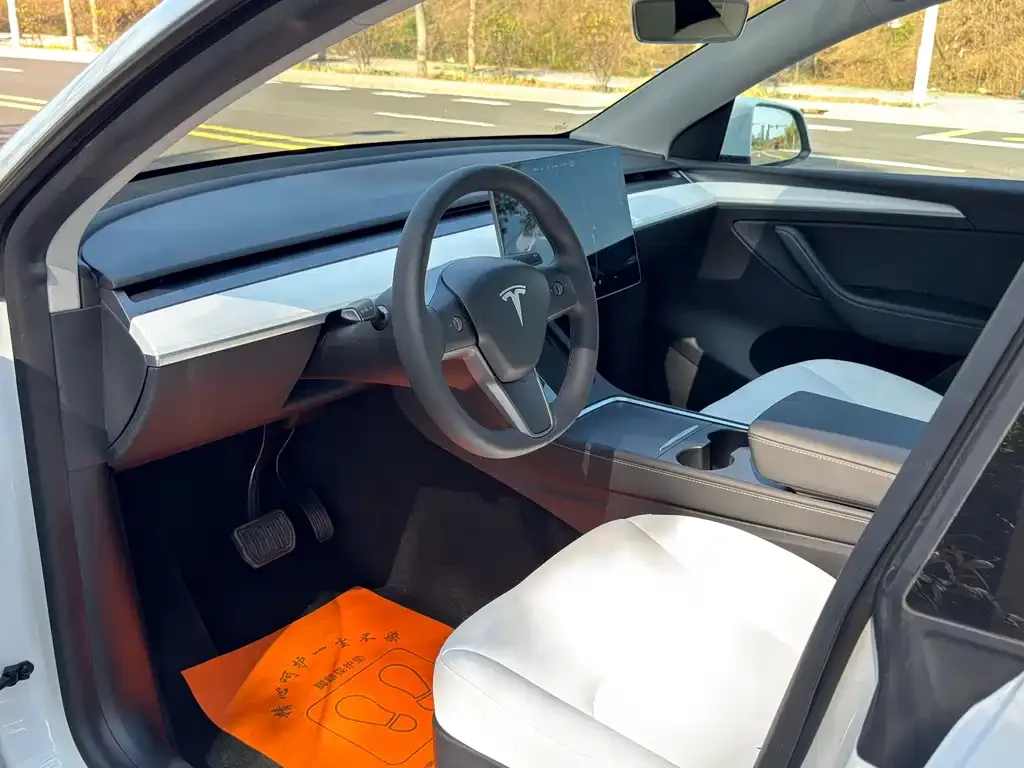 Tesla Model Y 2021 из CN, фото 5
