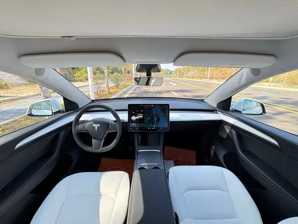 Tesla Model Y 2021 из CN, фото 10