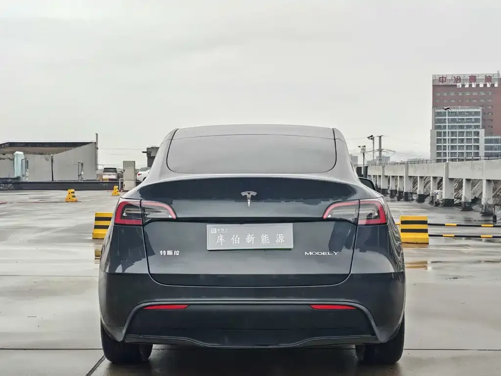 Tesla Model Y — фото 2