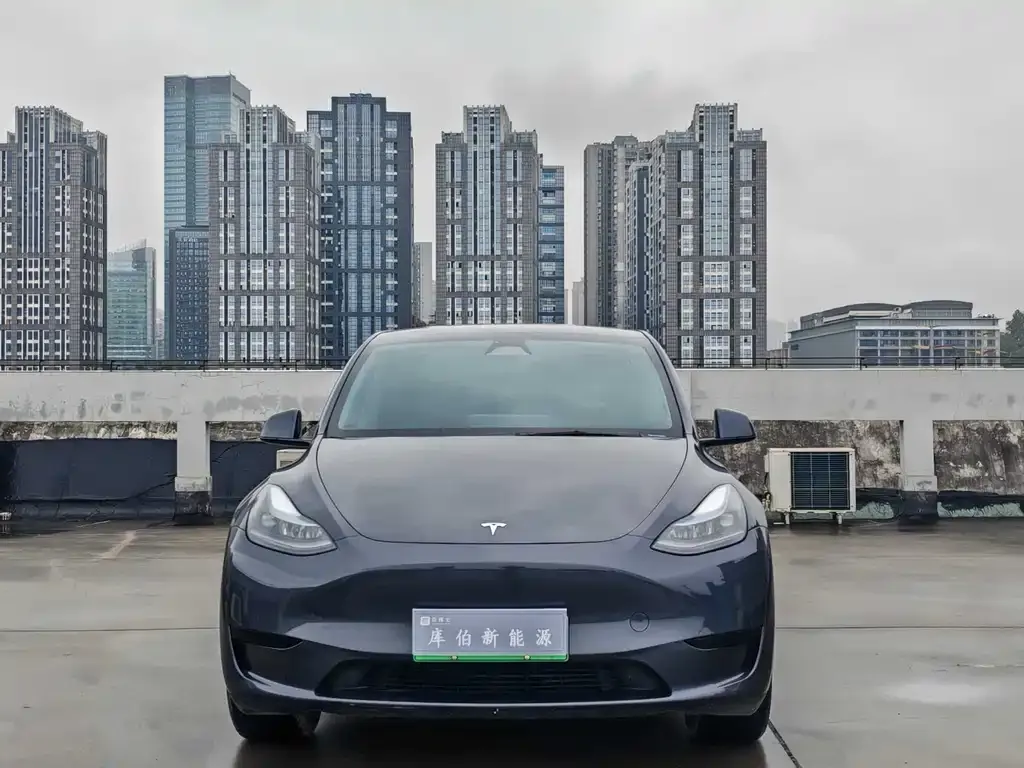 Tesla Model Y — фото 9