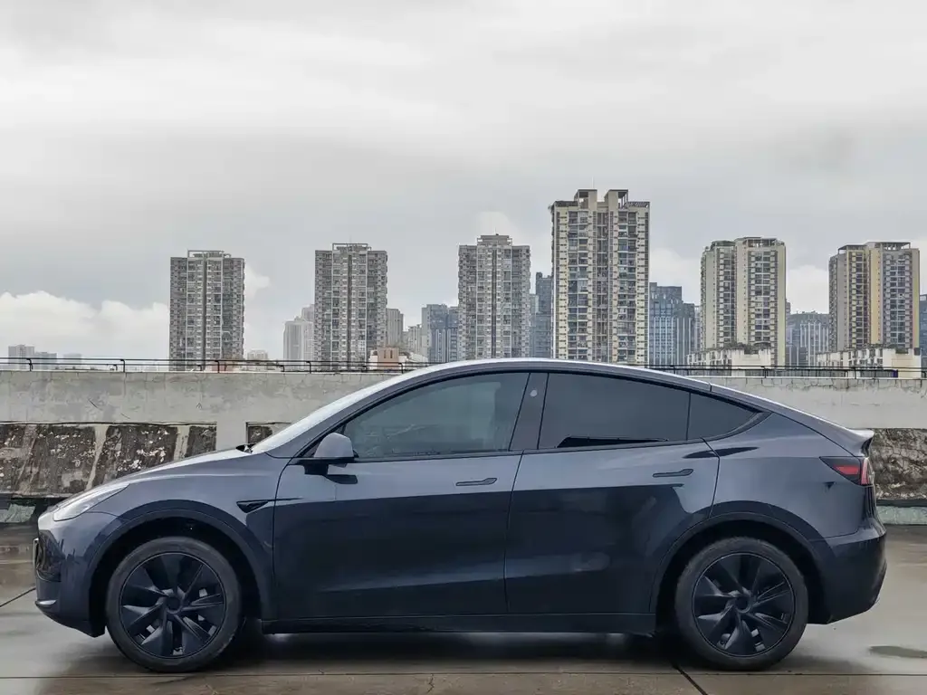Tesla Model Y — фото 10