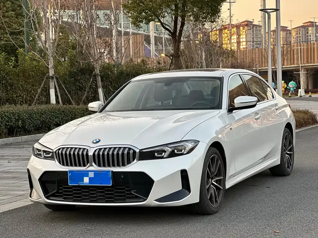 BMW 3 Series 2023 из CN, фото 1