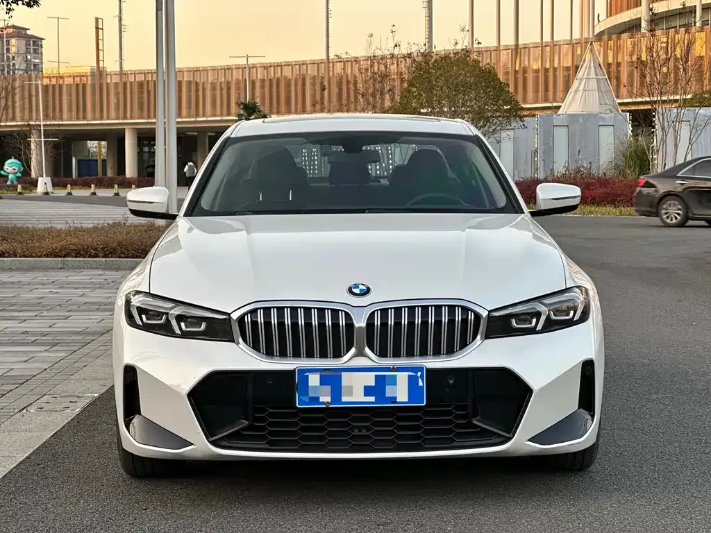 BMW 3 Series 2023 из CN, фото 6