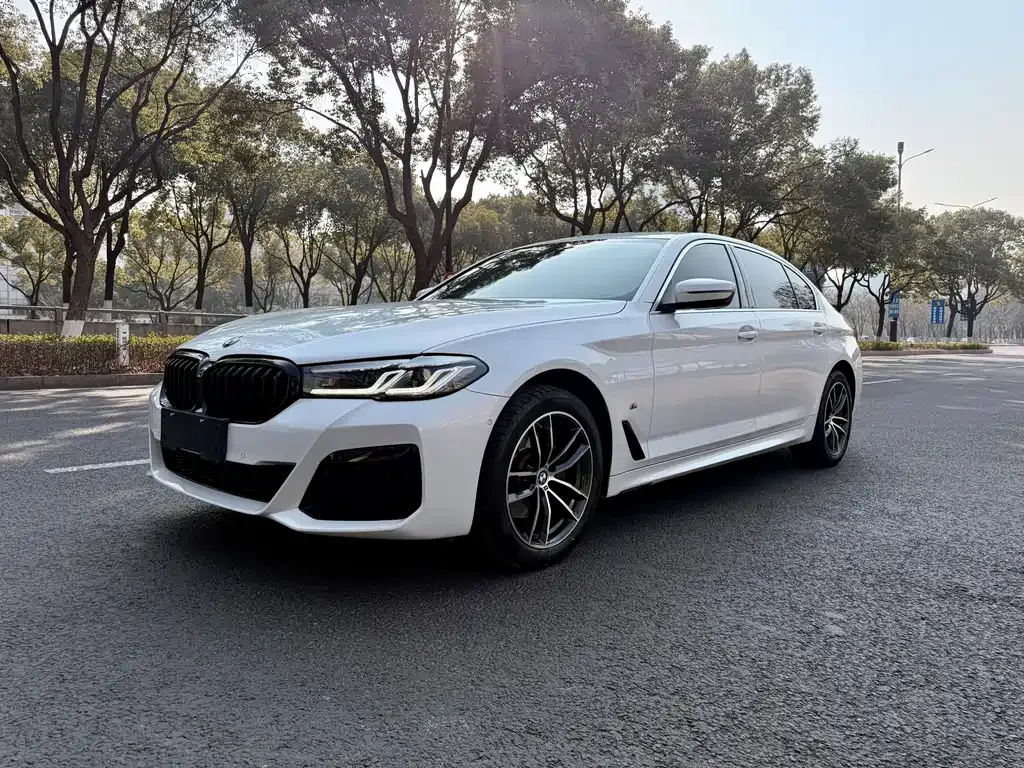BMW 5 Series — фото 1