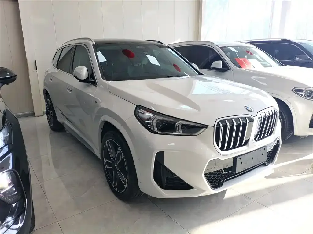 BMW X1 2024 из CN, фото 2