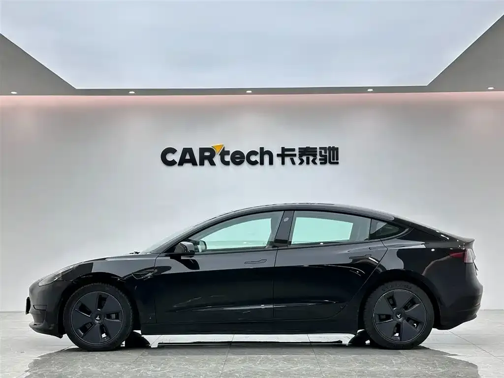 Tesla Model 3 2021 из CN, фото 4