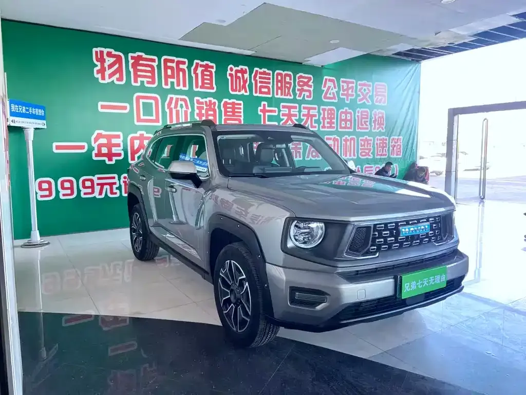 Haval H7 (Big Dog Plus) New Energy — фото 3