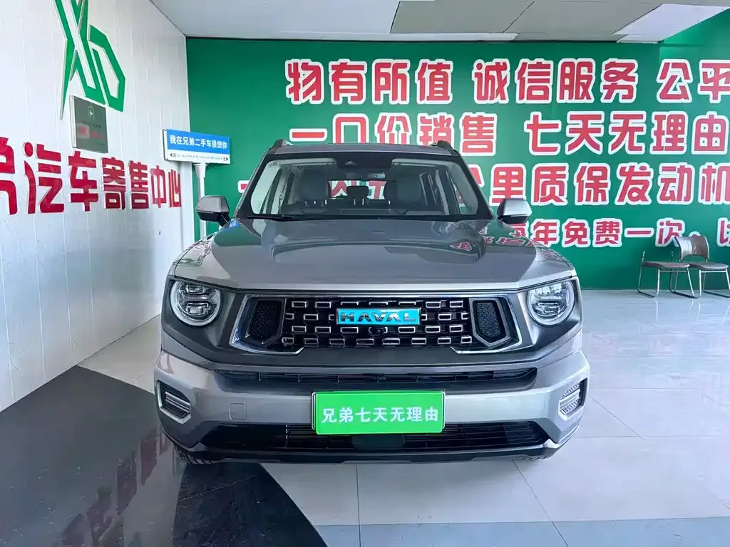 Haval H7 (Big Dog Plus) New Energy — фото 6
