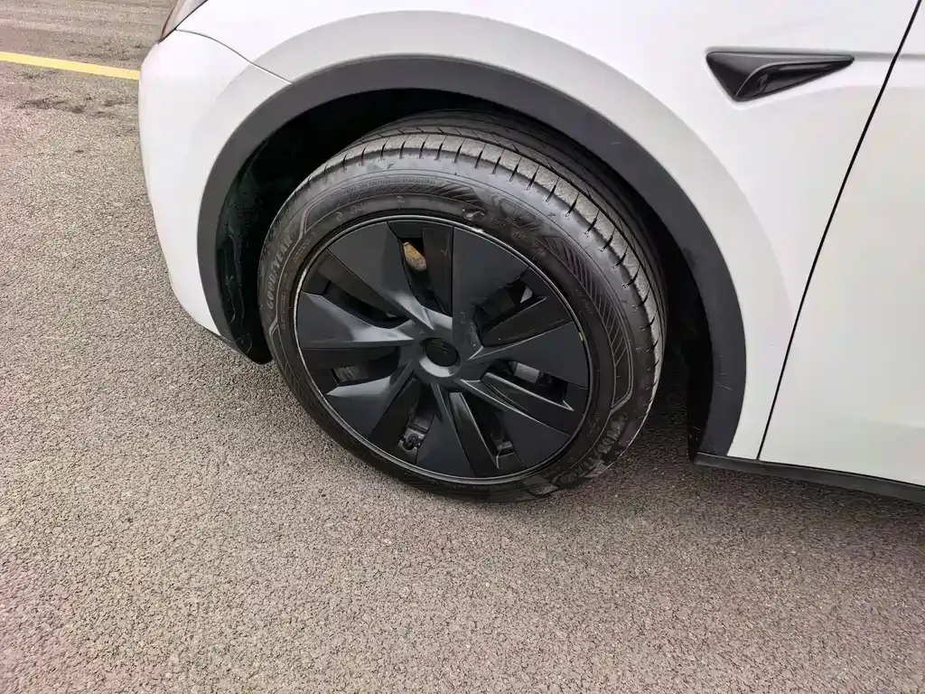 Tesla Model Y 2024 из CN, фото 9